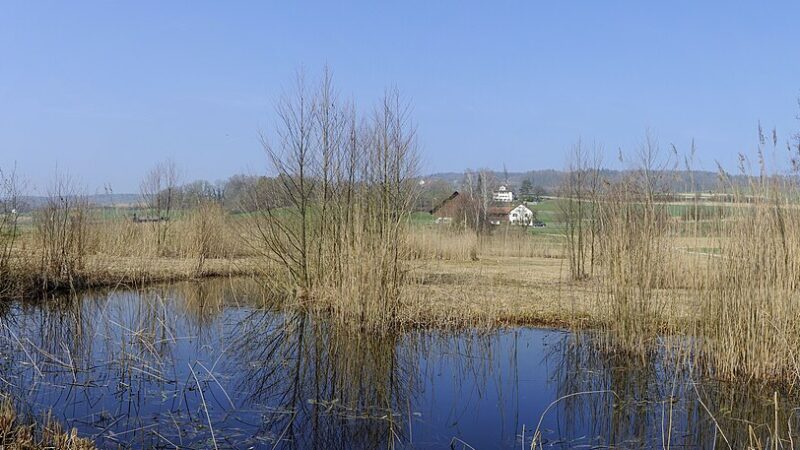 Zur Kartause Ittingen: durch Wald, Reben und an Seen