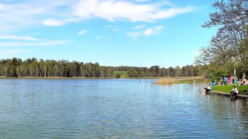 Katzensee-Rundweg: Naturschutz und Badi vor der Stadt - katzensee rundweg