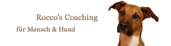 logo-roccos-coaching