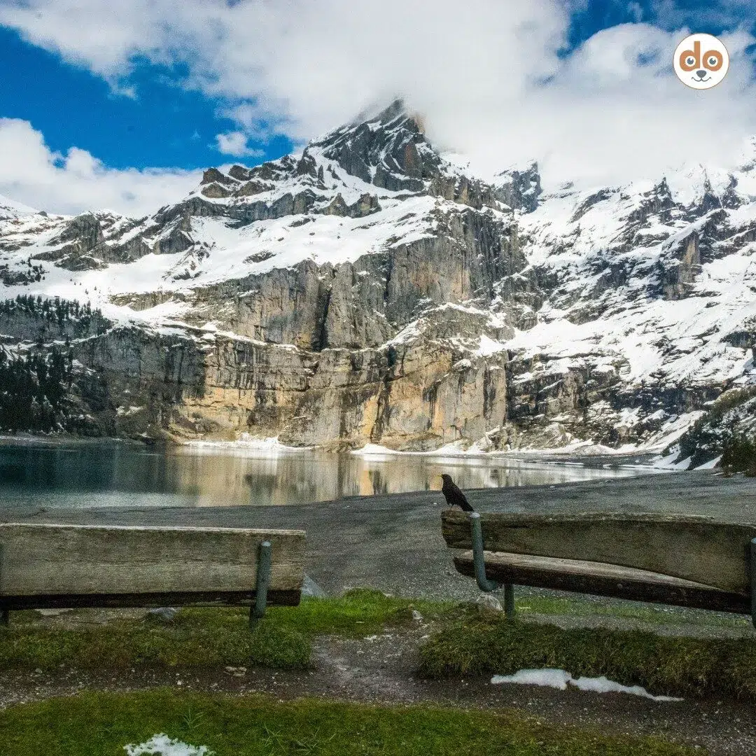 Wanderweg am Oeschinensee mit Alpenpanorama