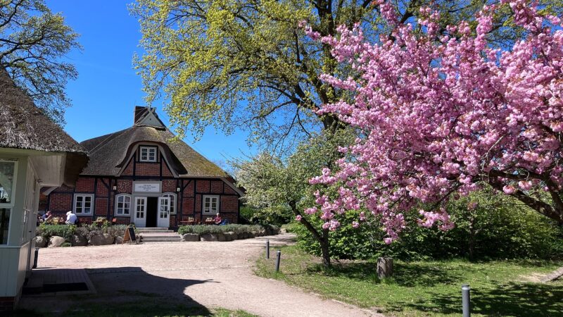 Prinzeninsel Plön: Runde durch die Holsteinische Schweiz