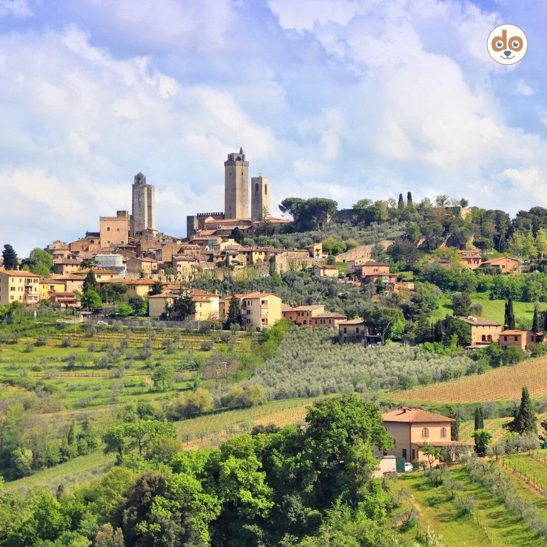 San Gimignano Italien Weinberge