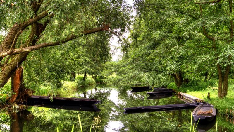 Spreewald: Wanderwege durch das Fließ-Labyrinth