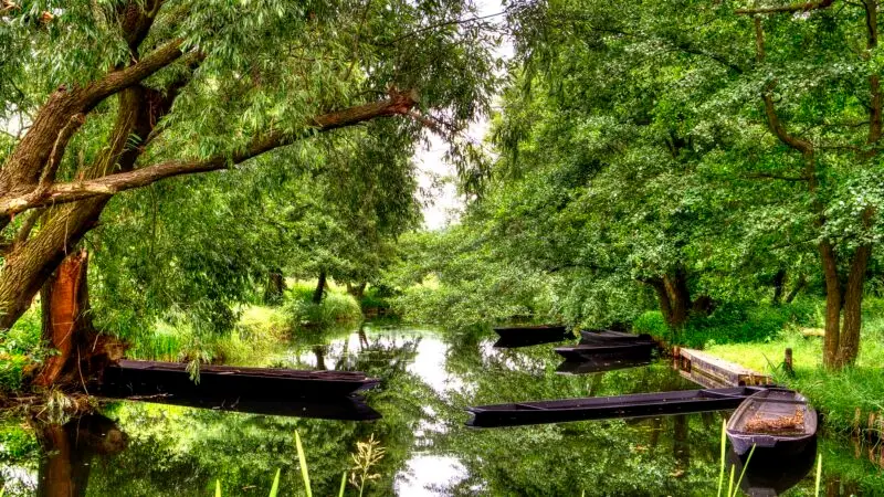 Spreewald: Wanderwege durch das Fließ-Labyrinth