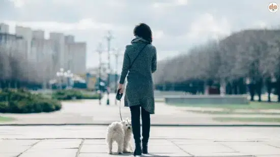 Halterin spaziert mit kleinem weissen Hund mit flauschigem Fell durch die Stadt, Stadtleben