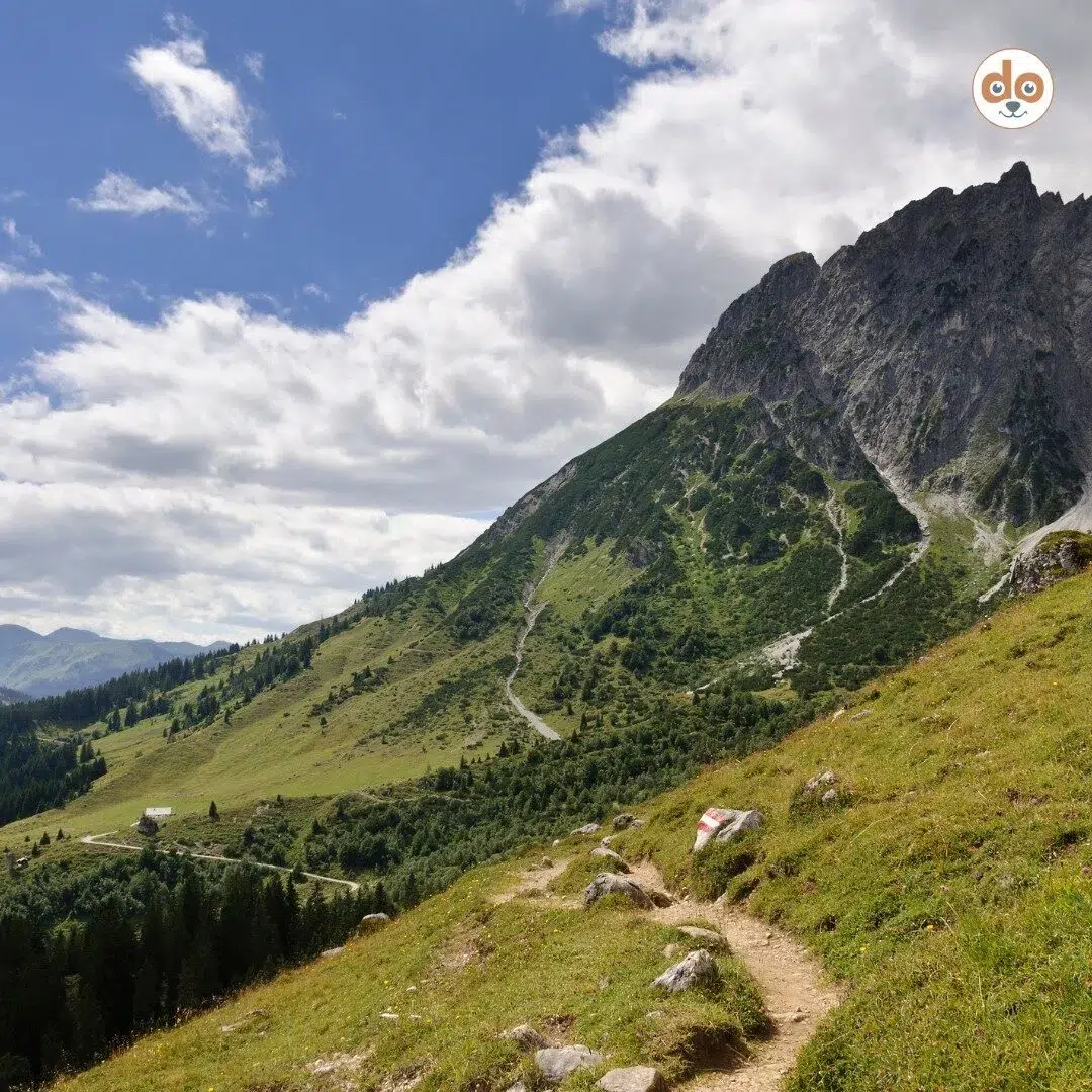 Wanderweg Salzburger Land Hochkönig Panorama Blick auf Almweiden, Taghaube, Stegmoosalm