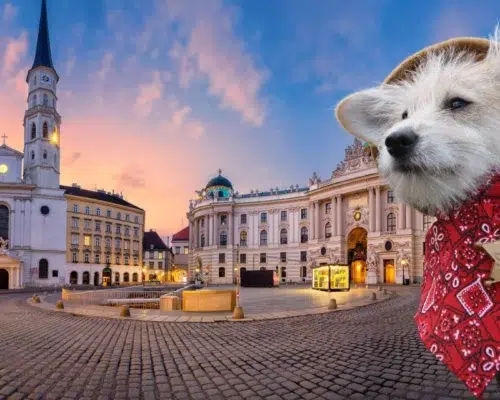Symbolfoto für Hundesheriffs in Wien Österreich