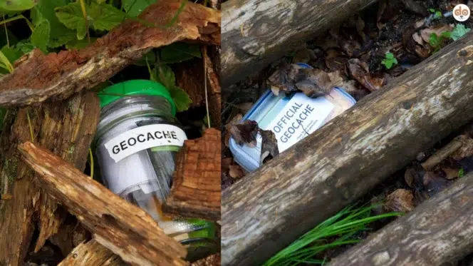 Zwei Geocaching Behälter Einmachglas und Frischhaltebox versteckt in Unterholz
