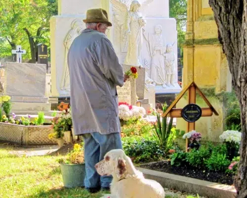 Alter Mann mit Hund auf Friedhof an Grabstein Grabkreuz, Was passiert mit dem Hund nach Todesfall des Halters