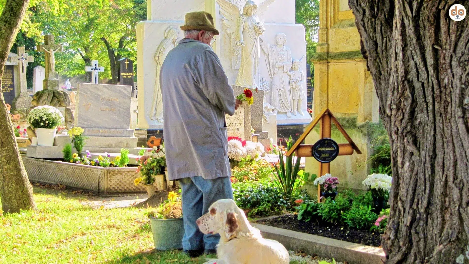 Alter Mann mit Hund auf Friedhof an Grabstein Grabkreuz, Was passiert mit dem Hund nach Todesfall des Halters