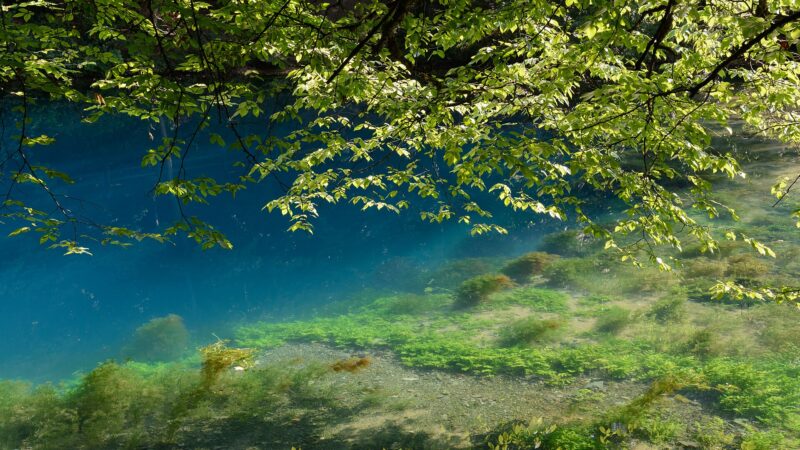 Blautopf Blaubeuren: türkisblaue Karstquelle an der Schwäbischen Alb