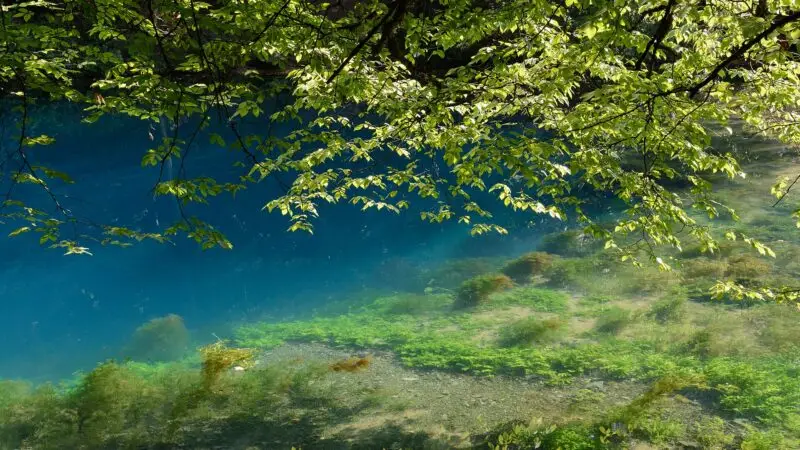 Blautopf Blaubeuren: türkisblaue Karstquelle an der Schwäbischen Alb - blautopf blaubeuren schwaebische alb