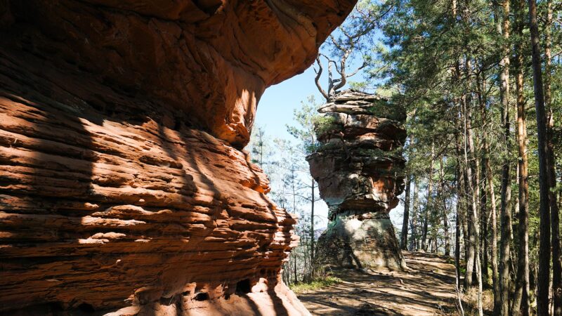Dahner Felsenpfad: Buntsandstein-Wandern im Pfälzerwald mit Hund