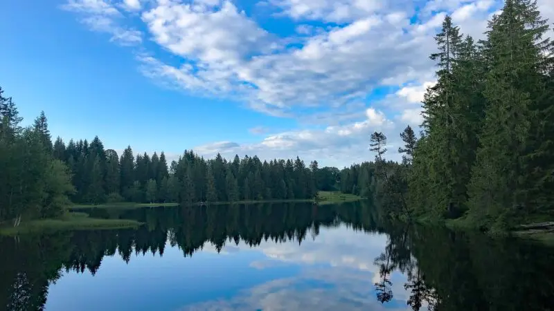 Étang de la Gruère: Moorsee in den Freibergen