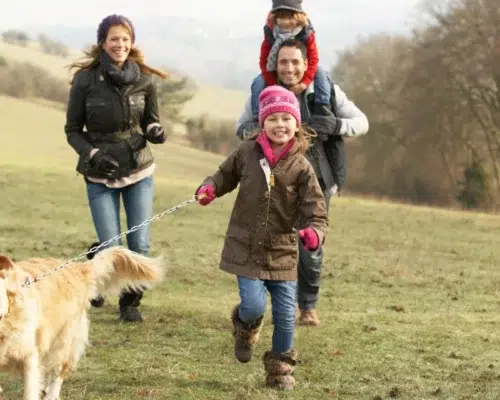Familienalltag mit Hund Familie mit Golden Retriever beim Spaziergang am Waldrand bei kaltem Wetter