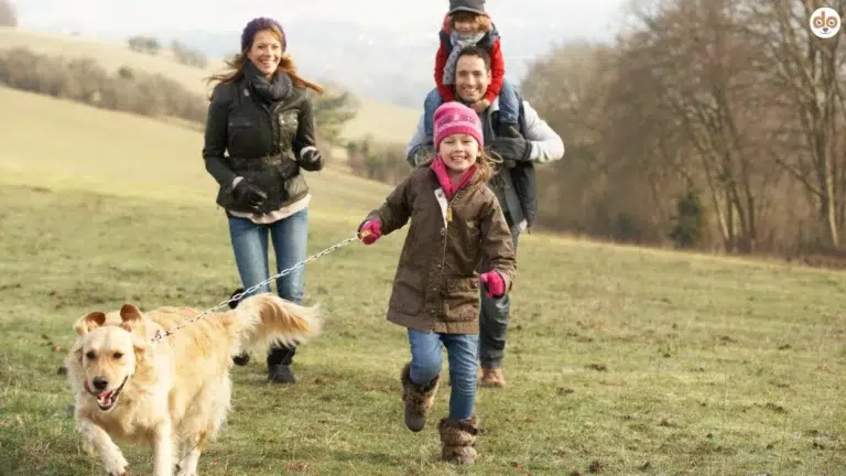 Familienalltag mit Hund Familie mit Golden Retriever beim Spaziergang am Waldrand bei kaltem Wetter