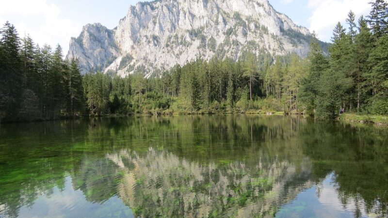 Grüner See Tragöß: kurze Runde am Karstsee
