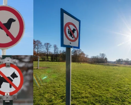 Drei verschiedene Hundeverbotsschilder