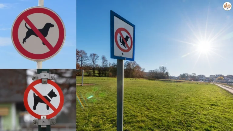 Drei verschiedene Hundeverbotsschilder