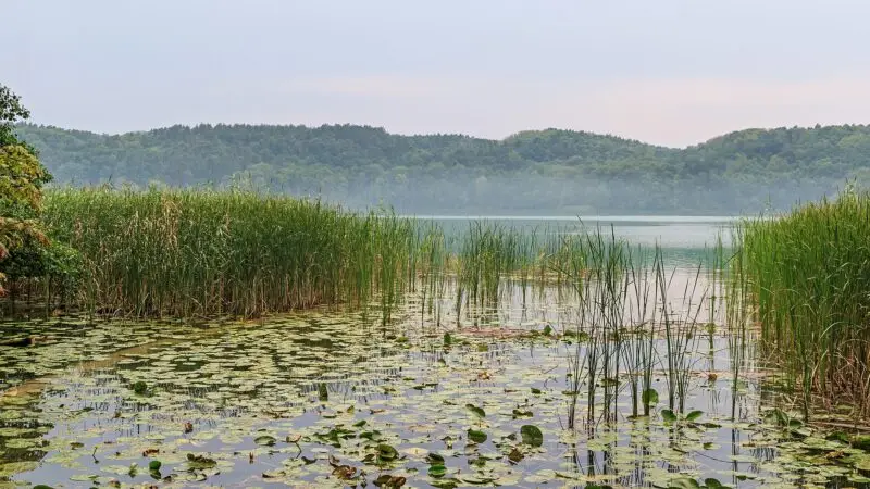 Märkische Schweiz: Rundweg um den Schermützelsee - maerkische schweiz schermuetzelsee