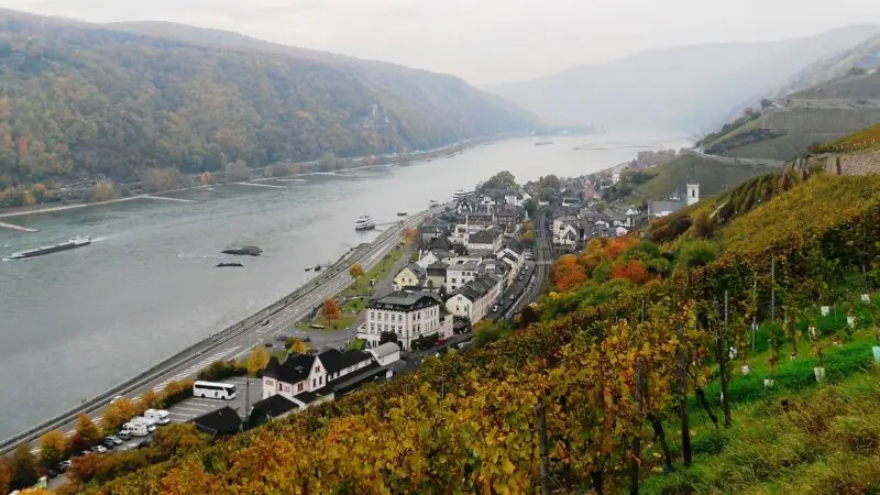Rheinsteig bei Rüdesheim: durch die Weinberge zum Niederwalddenkmal - rheinsteig ruedesheim niederwald