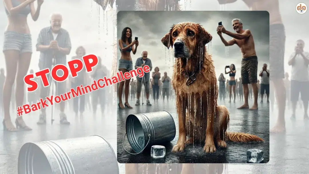 STOPP BarkYourMindChallenge
