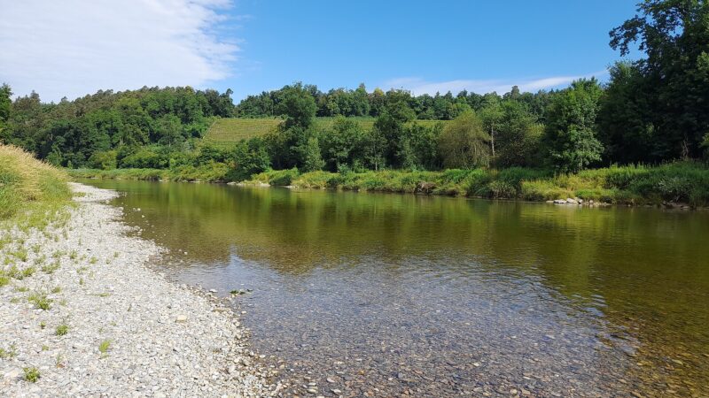 Dem Thurufer entlang: Frauenfeld nach Pfyn - thurweg frauenfeld pfyn