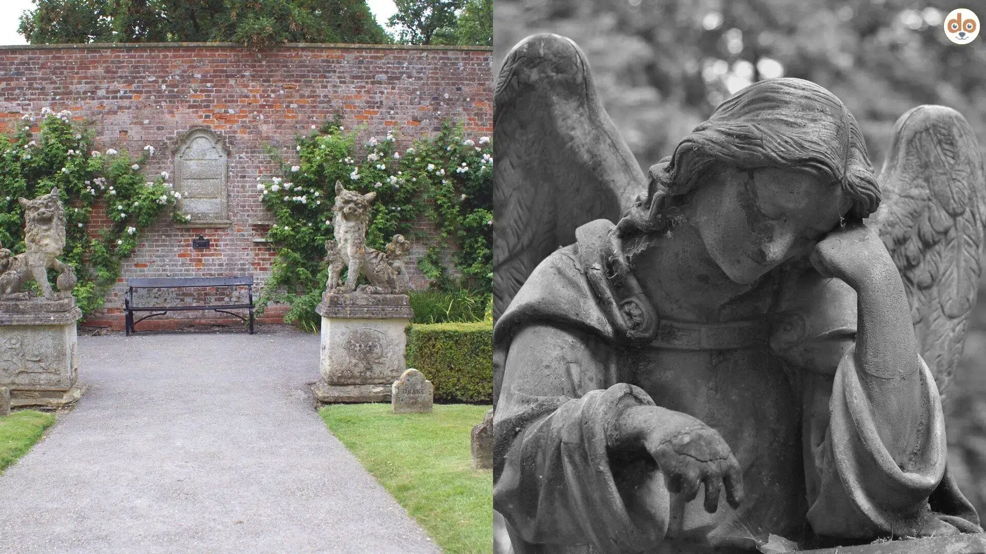 Symbolfotocollage für Mensch-Tier-Bestattung Links Tierfriedhof Rechts Grabfigur Engel Nahaufnahme