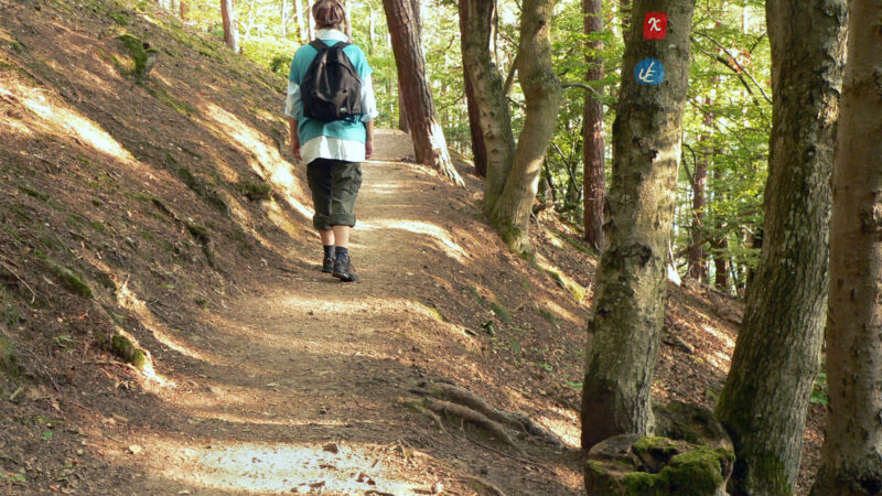 Urwaldsteig Edersee: durch den Nationalpark Kellerwald
