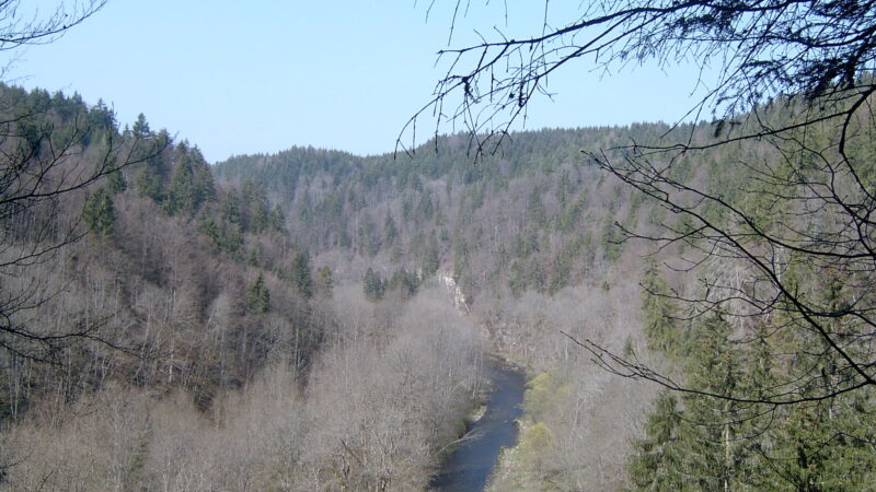 Wutachschlucht: der Grand Canyon des Schwarzwaldes