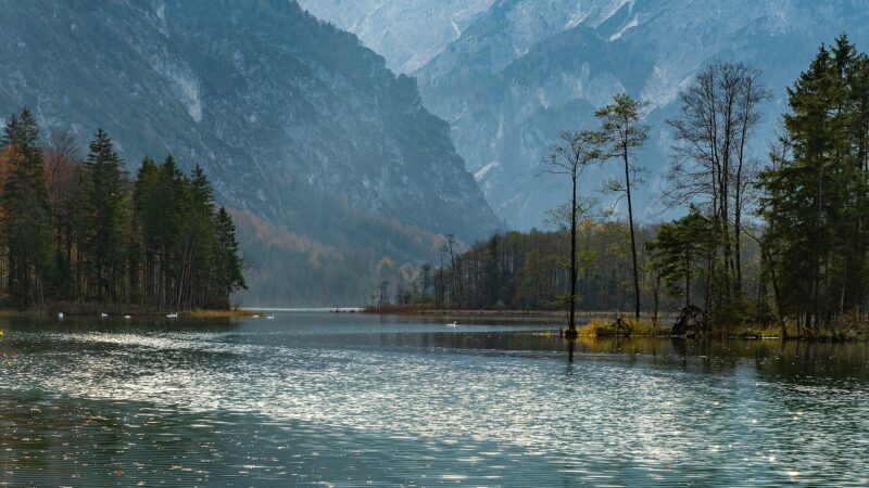 Almsee-Rundweg: Uferwanderung am Toten Gebirge mit Hund