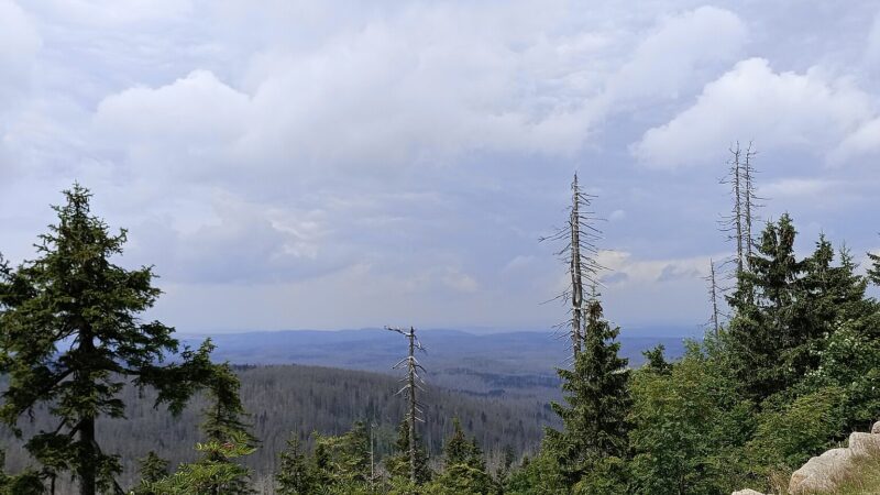 Mit Hund auf den Brocken: der Goetheweg ab Torfhaus im Harz