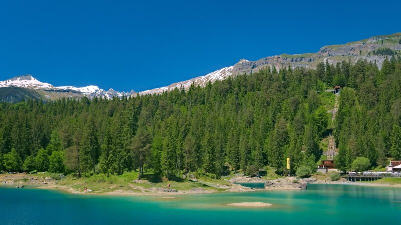 Caumasee: Waldrunde am Bergbadesee bei Flims