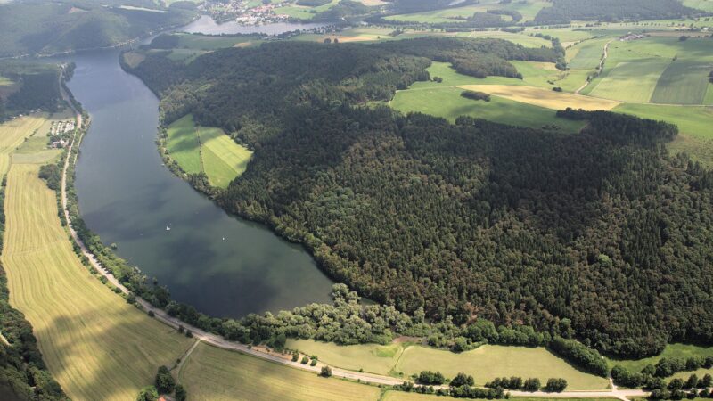 Diemelsee-Uferweg im Naturpark: Seerunde mit zwei Hundestränden