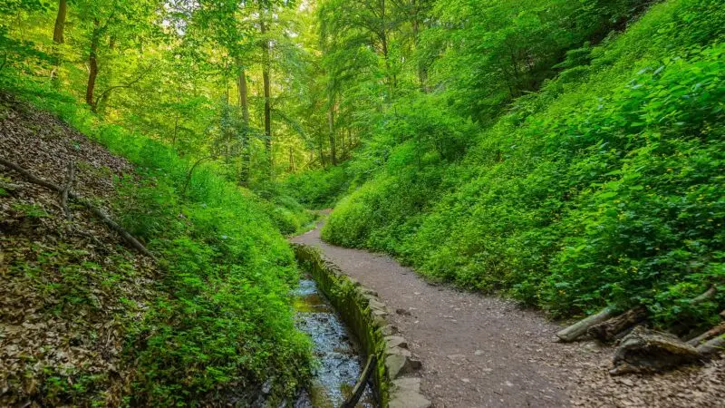 Drachenschlucht Eisenach: durch die enge Klamm bei der Wartburg
