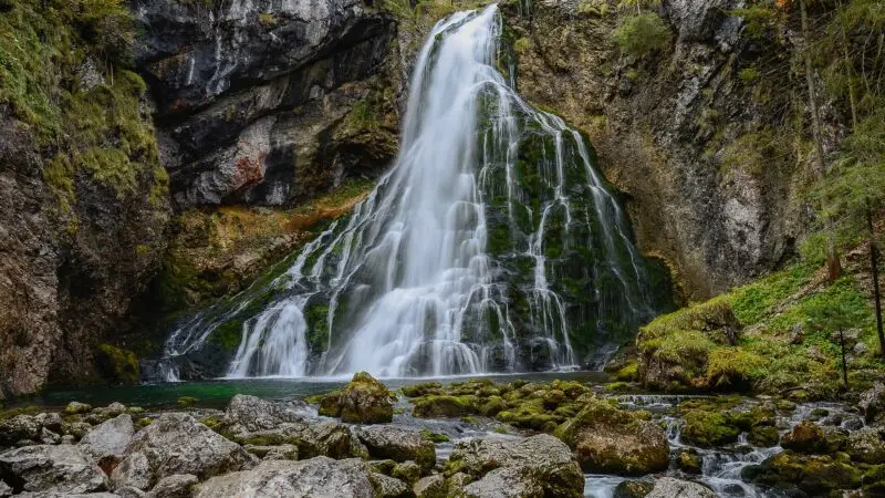 Gollinger Wasserfall (Schwarzbachfall) mit Hund