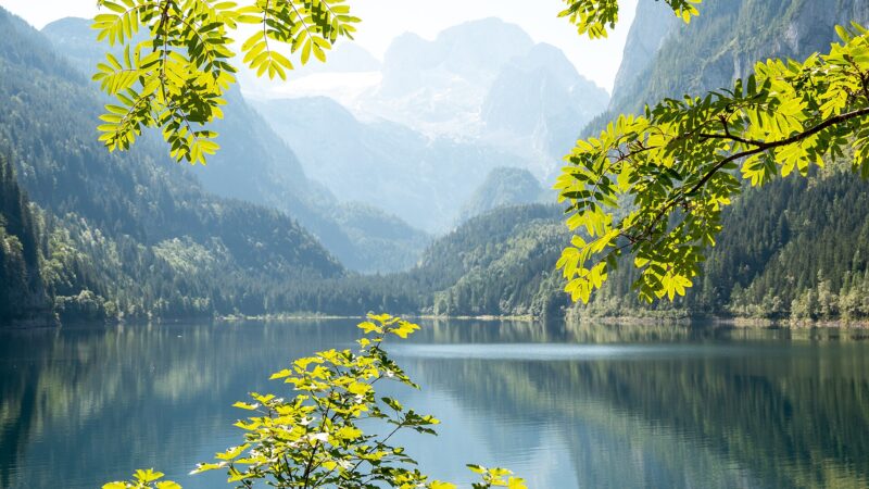 Gosausee: Rundweg mit Dachsteinblick
