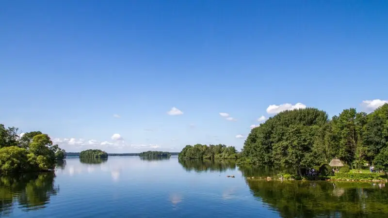 Prinzeninsel am Großen Plöner See: Uferweg mit Hund