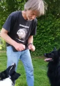 Logo Hundetrainer Thanos Zois