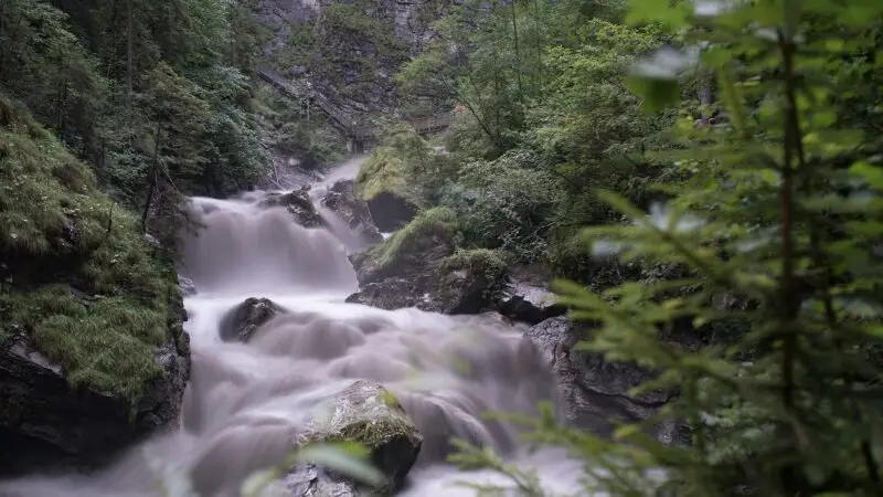 Kitzlochklamm Taxenbach: Wilde Schlucht im Pinzgau mit Hund