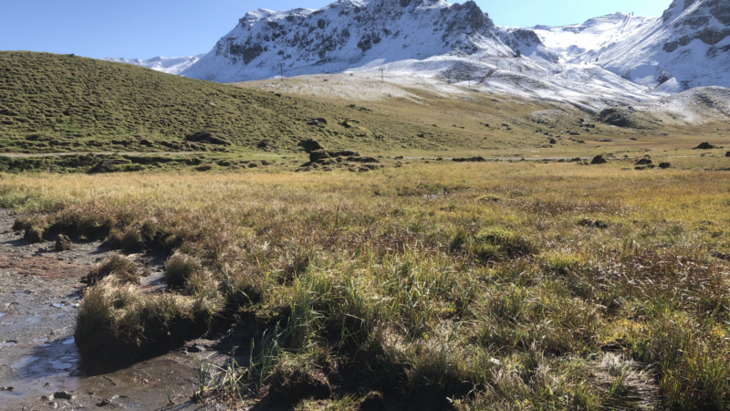 Melchsee-Frutt: Seenrunde im Hochtal