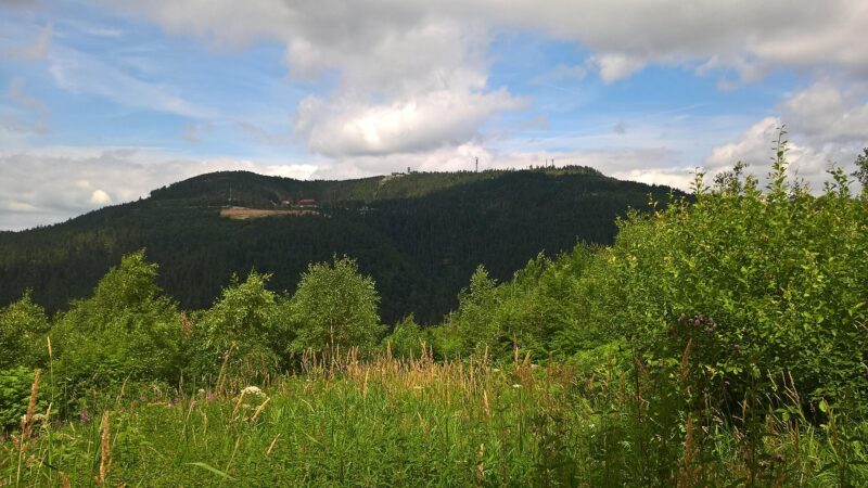Mummelsee und Hornisgrinde: Karsee, Hochmoor, höchster Nordschwarzwald-Gipfel
