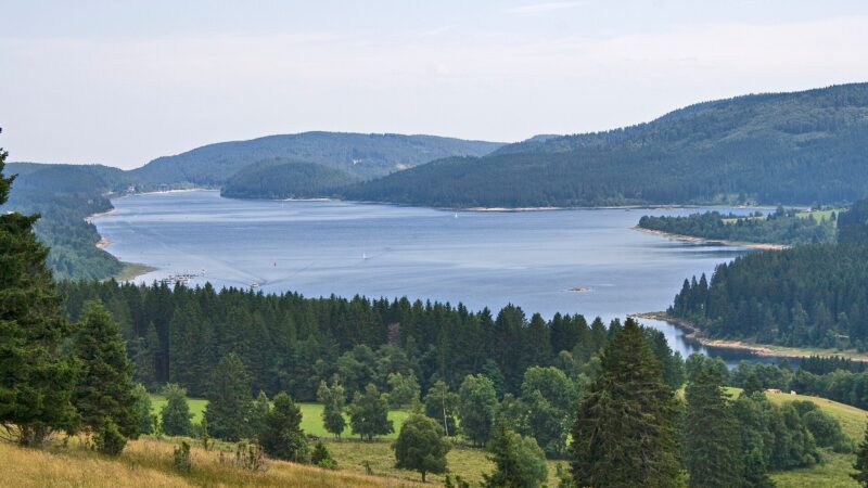 Schluchsee-Seerundweg mit Hund im Hochschwarzwald