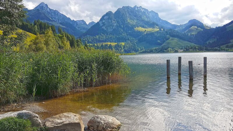 Schwarzsee: flacher Seerundweg im Senseland
