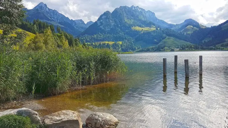 Schwarzsee: flacher Seerundweg im Senseland