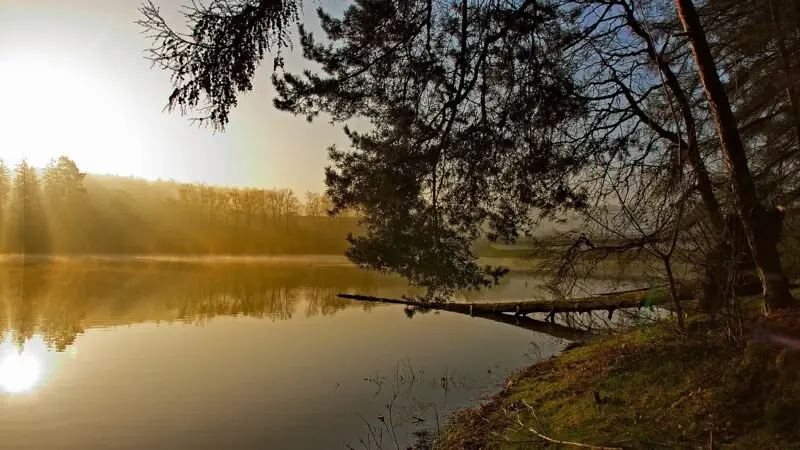 Sorpesee mit Hund: Uferwanderung rund um die Talsperre bei Langscheid - sorpesee uferweg langscheid sundern sauerland