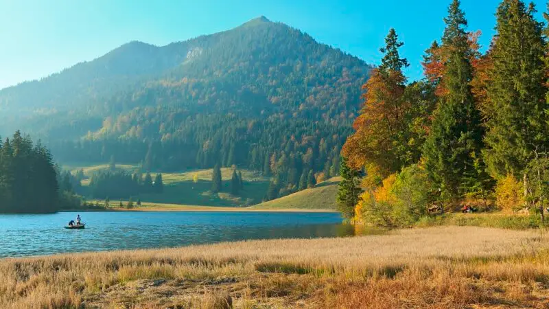 Spitzingsee-Rundweg im Mangfallgebirge: leicht mit Hund - spitzingsee rundweg mangfallgebirge