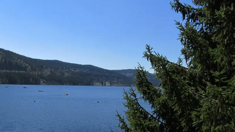 Titisee: Seerundweg im Hochschwarzwald - titisee seerundweg hochschwarzwald