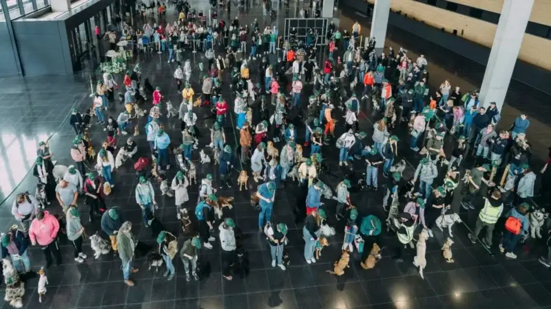 122 Hunde setzen Weltrekord – Guinness World Record bei der Dogs & Fun Messe