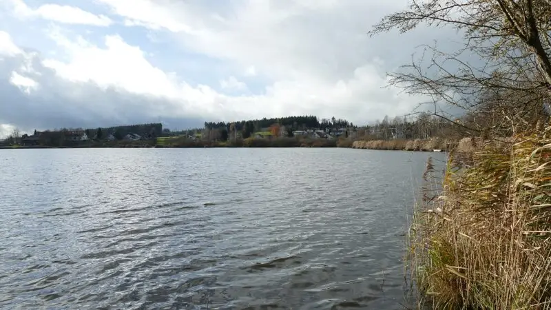 Zeller See: Rundweg mit Badestellen